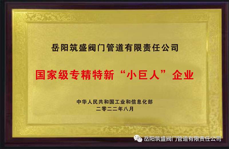 熱烈祝賀我公司榮獲國(guó)家級(jí)專(zhuān)精特新“小巨人”企業(yè)